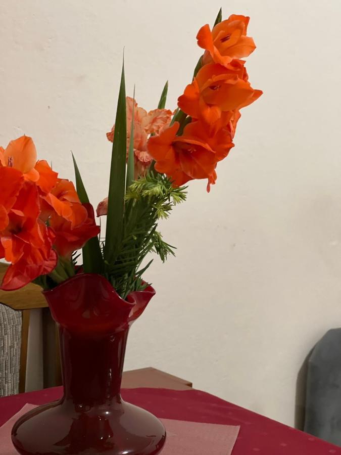 Apartmani Miro Trebinje Zewnętrze zdjęcie